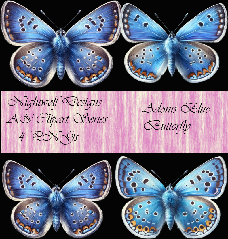 Adonis Blue Butterfly AI Clipart Pack